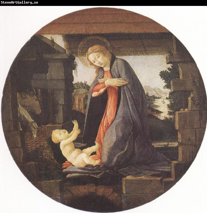 Sandro Botticelli Madonna in Adoration of the Christ Child (mk36)